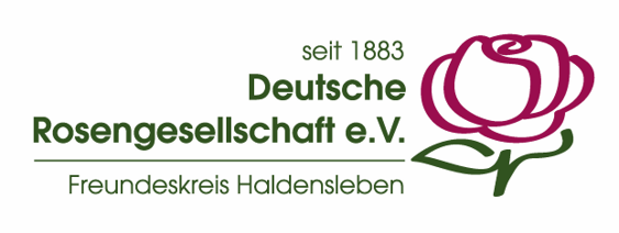 Das Bild zeigt rote Farbtöne, rosa Farbtöne und Rosen.